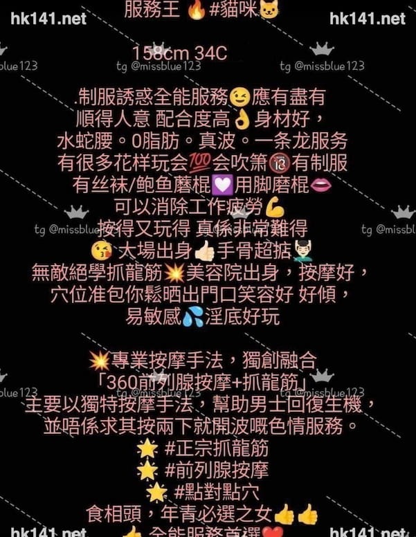 貓咪