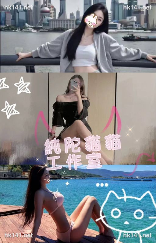 貓貓
